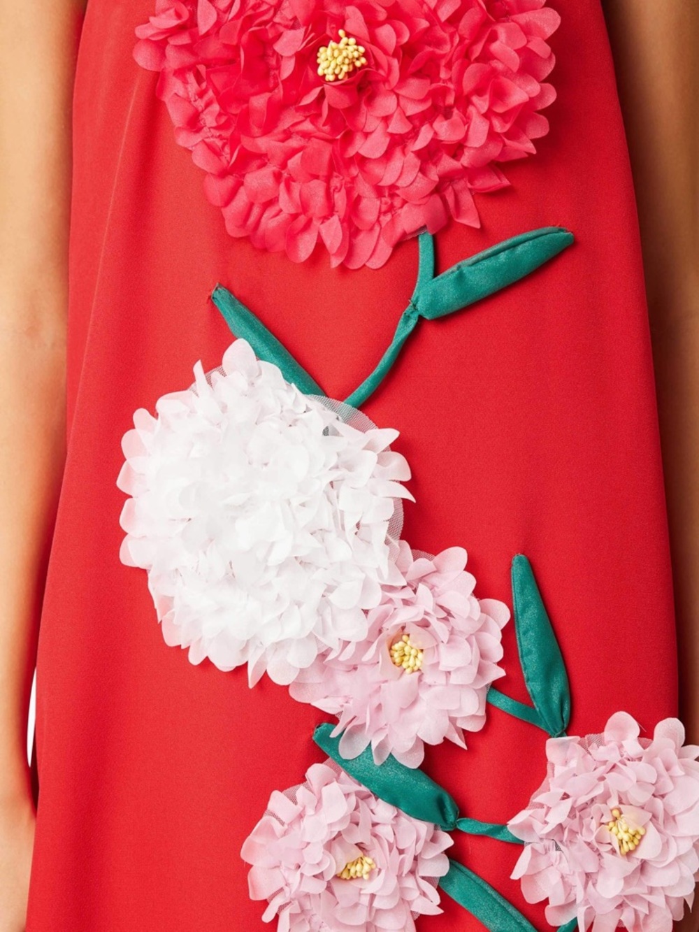 Elliatt Buttercup Embroidered Maxi Dress In Red - Picture 2 of 3